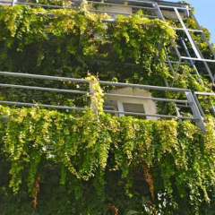 Hotel Kunterbunt - Bild 19