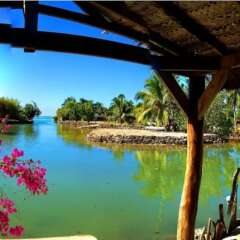 Villa Tiahura in Moorea, French Polynesia from 831$, photos, reviews - zenhotels.com photo 21