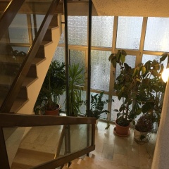 Hotel Martin - Bild 15