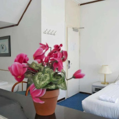 Hotel de Munck - Bild 3