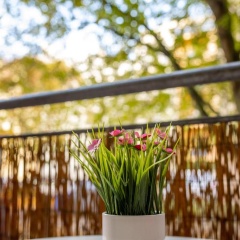 Große Altstadtwohnung im Zentrum, mit Balkon, TOP Lage, 4 Schlafplätzen - Bild 11