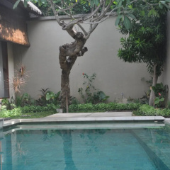 The Bali Bill Villa thumbnail 4