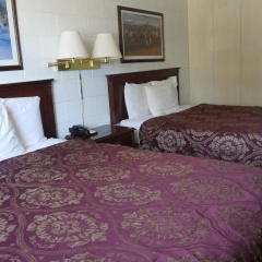 The Pines Motel thumbnail 5