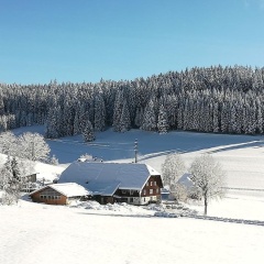 Gasthaus Pension Donishäusle - Bild 10