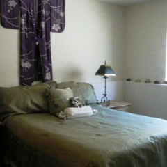 Outlaws At Mountain Village By Telluride Resort Lodging thumbnail 4