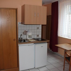 Mainzer Schoppenstecher - Bild 8