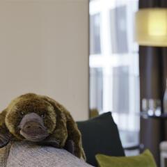 Апартаменты Adina Apartment Hotel Cologne Германия, Кёльн - отзывы, цены и фото номеров - забронировать отель Adina Apartment Hotel Cologne онлайн фото 45