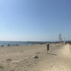 Marendes Des Palombes 2 thumbnail 11