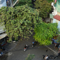 AZ Hanoi Hostel thumbnail 15