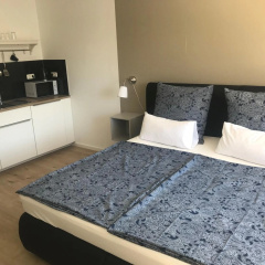 Maxim Apartments Mainz - Bild 1