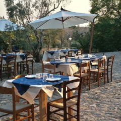 Tenuta la Siesta thumbnail 15