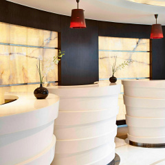 Renaissance Istanbul Polat Bosphorus Hotel - Bild 22