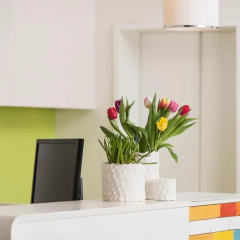 Creatif Hotel Elephant - Bild 4