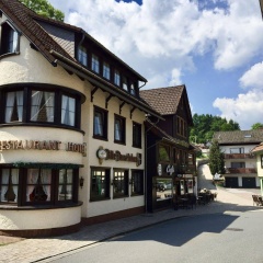 Landhotel Alte Aue - Bild 1
