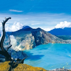 Kampoeng Pakis Inn - Bild 17