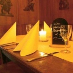 Goldener Hecht - Bild 18