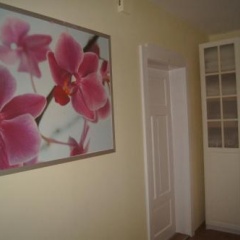 Hotel-Pension Ludwigshof - Bild 11