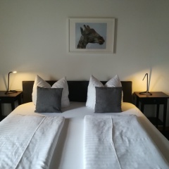 Hotel Rutherbach - Bild 2