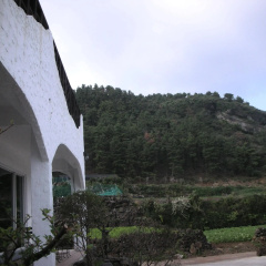 Kims Cabin Guesthouse thumbnail 9