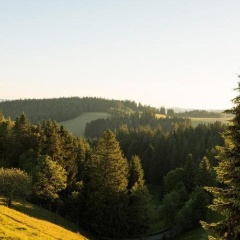 Gasthaus Zum Kreuz - Bild 17