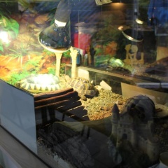 Hotel Chassalla - Bild 11