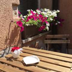 Ariel Silva Hotel - Bild 24