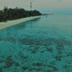 Dreams Waterfront in North Male Atoll, Maldives from 435$, photos, reviews - zenhotels.com photo 16