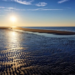 Beach House Langeoog - Bild 12