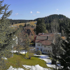 Apartment for 4 Guest Near Harz Mountains - Bild 12