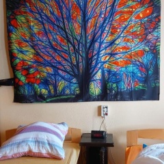 Ruhiges Keller Apartement - Bild 5