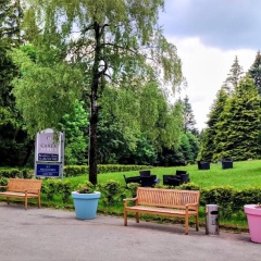 Carea Residenz Hotel Harzhöhe - Bild 24