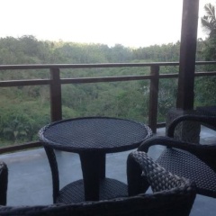 Bali Ubud Villa View - Bild 5