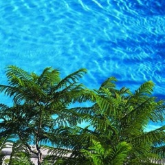 Zeus Kumlubük Hotel - Bild 15