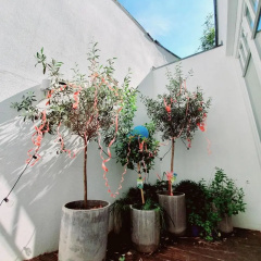 MAISON MARSIL Boutique Hotel - Bild 15
