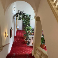 Erzherzog Johann Palais Hotel - Bild 17