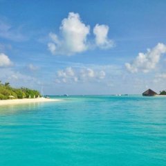 The Captains Residence in North Male Atoll, Maldives from 152$, photos, reviews - zenhotels.com photo 18