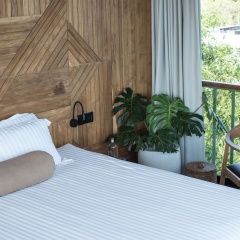The Canopy - Bild 3