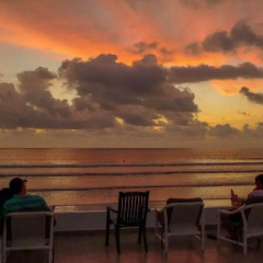 Sunset Gardens thumbnail 3