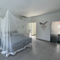 Luxury 4 bed Villa - Private Pool - Sleeps 8 in Willemstad, Curacao from 507$, photos, reviews - zenhotels.com photo 3