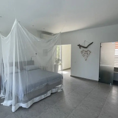 Luxury 4 bed Villa - Private Pool - Sleeps 8 in Willemstad, Curacao from 510$, photos, reviews - zenhotels.com photo 3