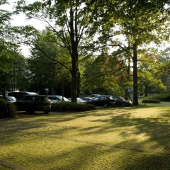 Rolandsburg - Bild 9