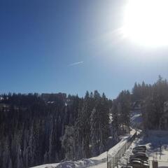 Jahorina Apartment 226 in Aparthotel Vucko in Jahorina, Bosnia and Herzegovina from 634$, photos, reviews - zenhotels.com photo 23