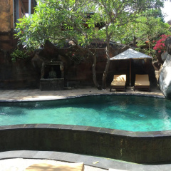 Chonos Hotel Lovina - Bild 16