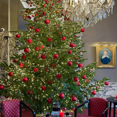 Hotel Bamberger Hof Bellevue - Bild 23