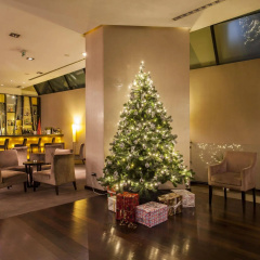 Czar Lisbon Hotel - Bild 29