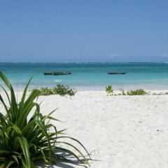 Next Paradise Boutique Resort in Pwani Mchangani, Tanzania from 295$, photos, reviews - zenhotels.com photo 19