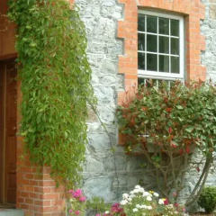 The Rectory B&B thumbnail 9