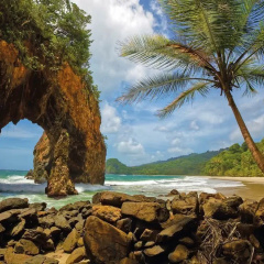 The Cannons of Trinidad and Tobago, W.I. - Arima thumbnail 12