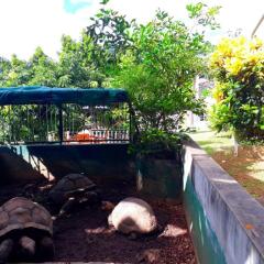 Hibiscus House Seychelles Self Catering in Mahe Island, Seychelles from 388$, photos, reviews - zenhotels.com photo 47