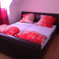 Schönes Apartment in Essen - Bild 6